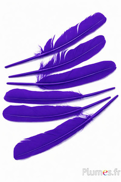 Cygne - 30-33 cm - violet